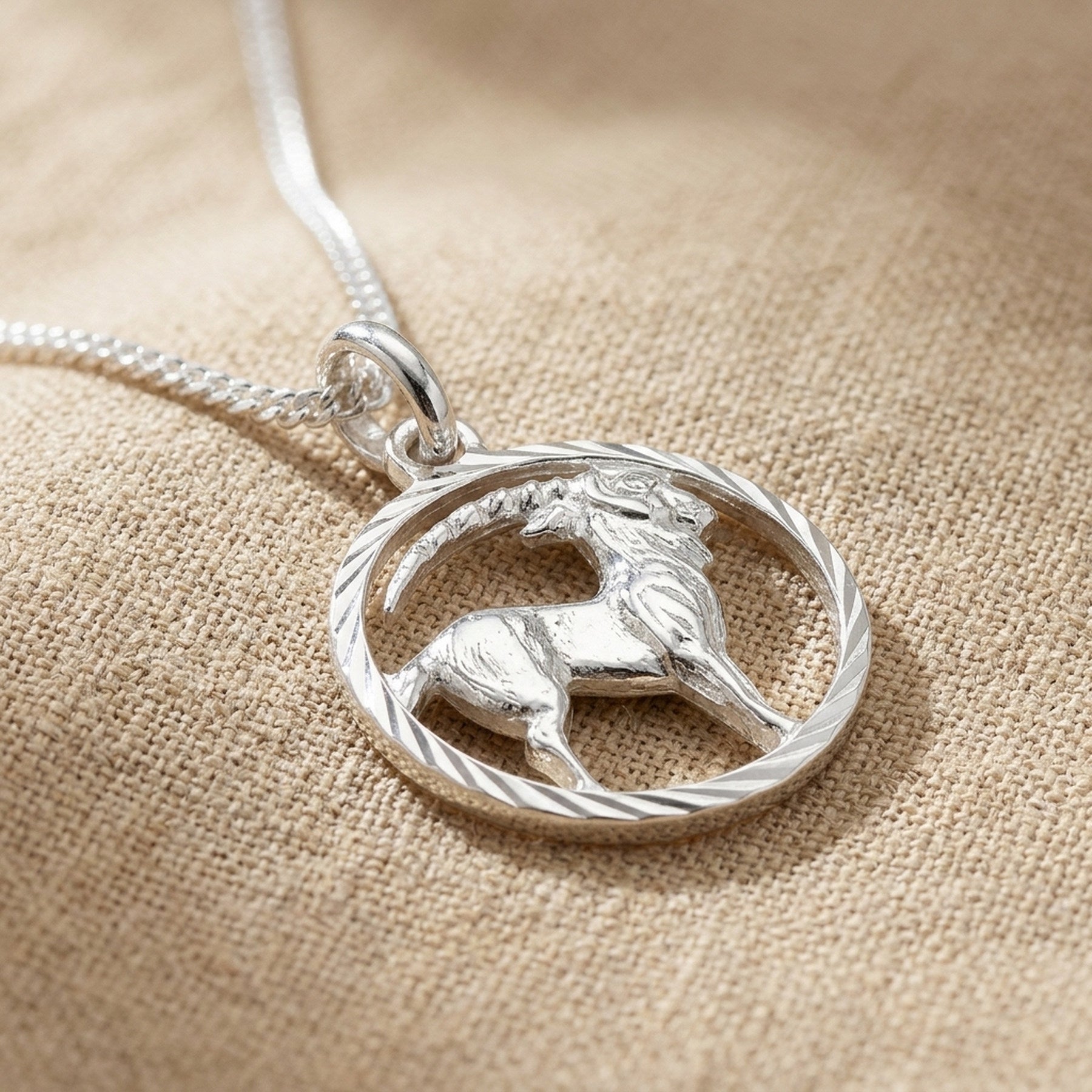 Anhänger Sternzeichen Steinbock mit Kette Flachpanzer – 925er Silber, 1,4 mm – Detailansicht des Anhängers vor neutralem Hintergrund