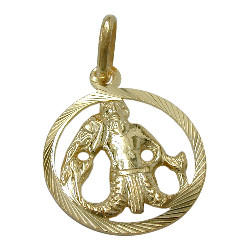 Anhänger Sternzeichen Wassermann aus 375er Gold, 15 mm